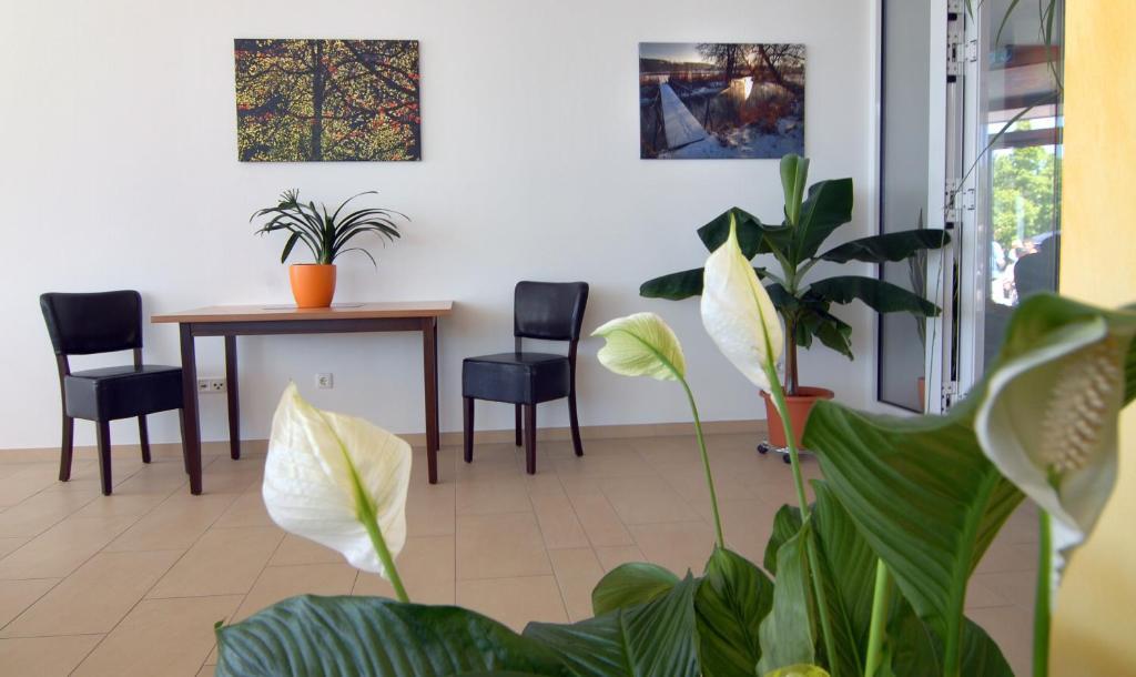 Hotel Frankenhoehe Aurach Ngoại thất bức ảnh